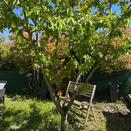Holiday home La Maison Du Cerisier Manosque