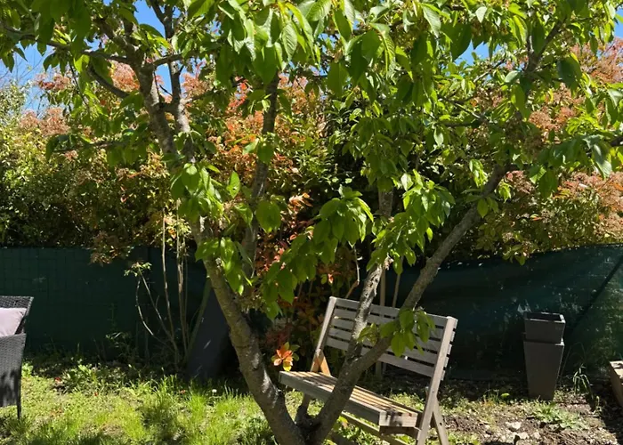 펜션 La Maison Du Cerisier 마노스크